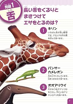 【小学生】小学館NEO・こども百科・学研図鑑・NEOプラス・クイズ図鑑・他27冊 小学館の図鑑NEO＋ポケット もっとくらべる図鑑クイズブック
